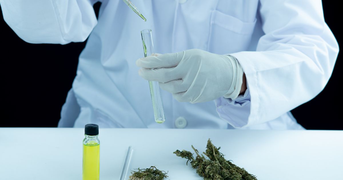 How to Prepare Your Cannabis Business for a Surprise Inspection